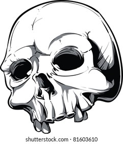 Vector Skull Illustration
