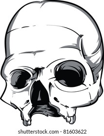 Vector Skull Illustration