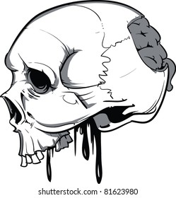 Vector Skull Illustration