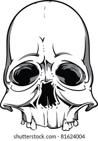 Vector Skull Illustration