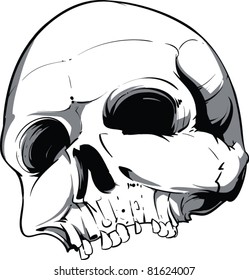Vector Skull Illustration