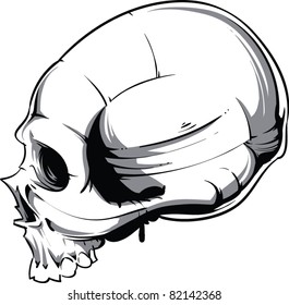 Vector Skull Illustration