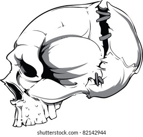 Vector Skull Illustration