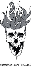 Vector Skull Illustration