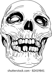 Vector Skull Illustration