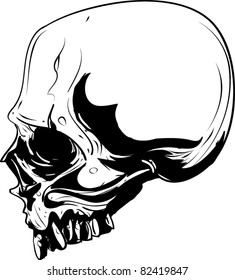 Vector Skull Illustration