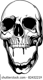 Vector Skull Illustration