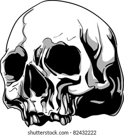 Vector Skull Illustration