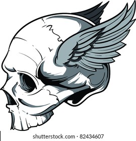 Vector Skull Illustration