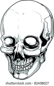 Vector Skull Illustration