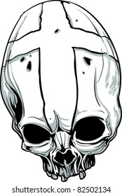 Vector skull illustration