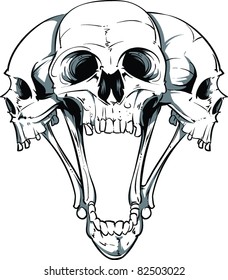 Vector skull illustration