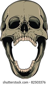 Vector skull illustration