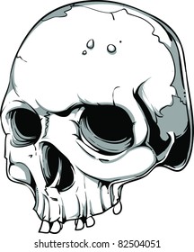Vector skull illustration