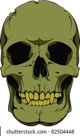 Vector skull illustration