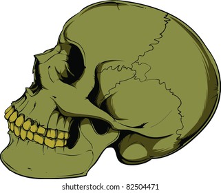 Vector skull illustration