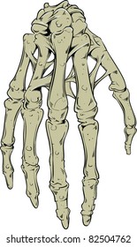 Vector skull illustration