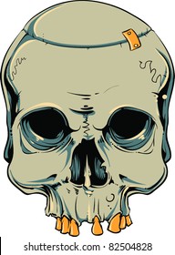Vector skull illustration