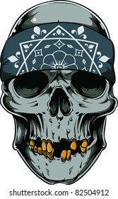 Vector skull illustration