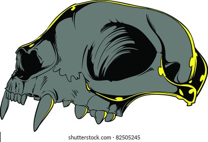 Vector skull illustration