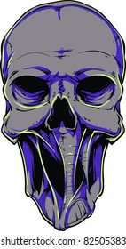 Vector skull illustration