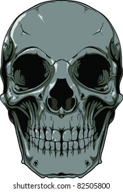 Vector skull illustration