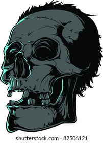 Vector Skull Illustration