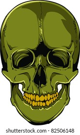 Vector Skull Illustration