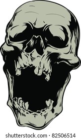 Vector skull illustration