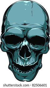 Vector skull illustration