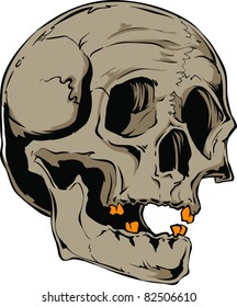 Vector skull illustration