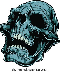 Vector skull illustration