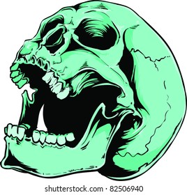 Vector skull illustration