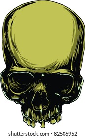 Vector skull illustration