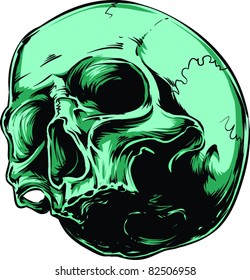 Vector skull illustration