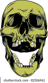 Vector skull illustration