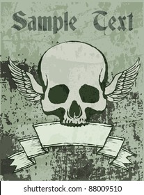 Vector skull  illustration