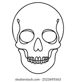 Vector of Skull Illustration Black and White