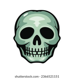 Vector Skull Illustration - Detailed and Artistic Skeleton Head Design