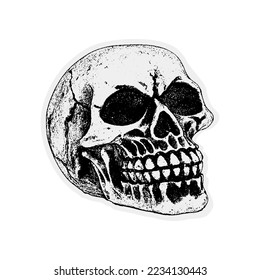 Vector skull illustration, drawing, engraving, ink, line art. realistic human skull tattoo on a white background. Sticker with skull dotted technique