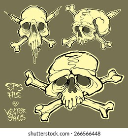 vector skull illustration set