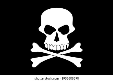 Vector skull on black background. Vector illustration