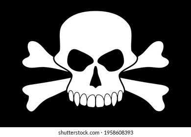 Vector skull on black background. Vector illustration