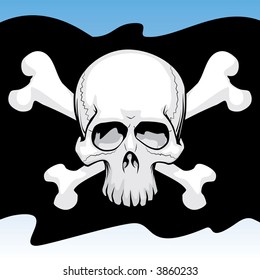 vector skull on a black flag