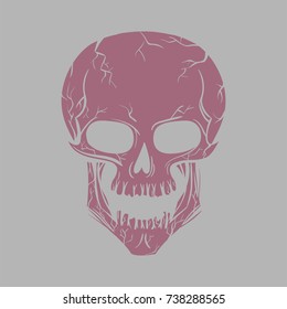Vector Skull On The Gray Background
