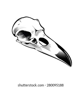 4,910 Skull and crow Images, Stock Photos & Vectors | Shutterstock