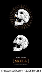 Vector skull set in black background in retro tattoos old school, grunge, punk and gothic style. Hand-drawn vector illustrations in engraving style for Halloween, print, background. Vintage style. 