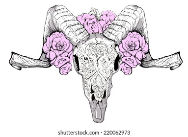 Vector skull sheep lamb  horns  roses  bone