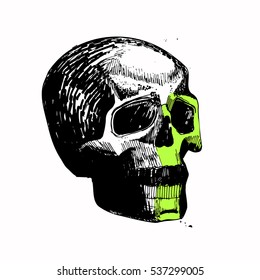 vector skull, sketch, hand draw, pen, ink, relaxed, blots, black and green, suitable for prints on clothing, t-shirt Build bannner or poster