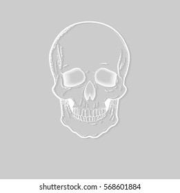 Vector skull stylized paper on a gray background